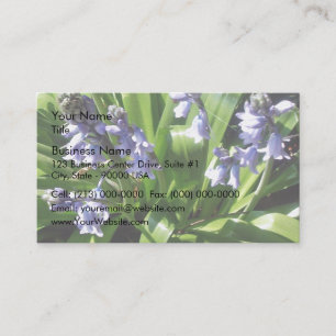 Bluebells Visitenkarte