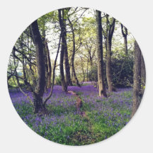 Bluebells Wald Bloral modern elegant Beautiful