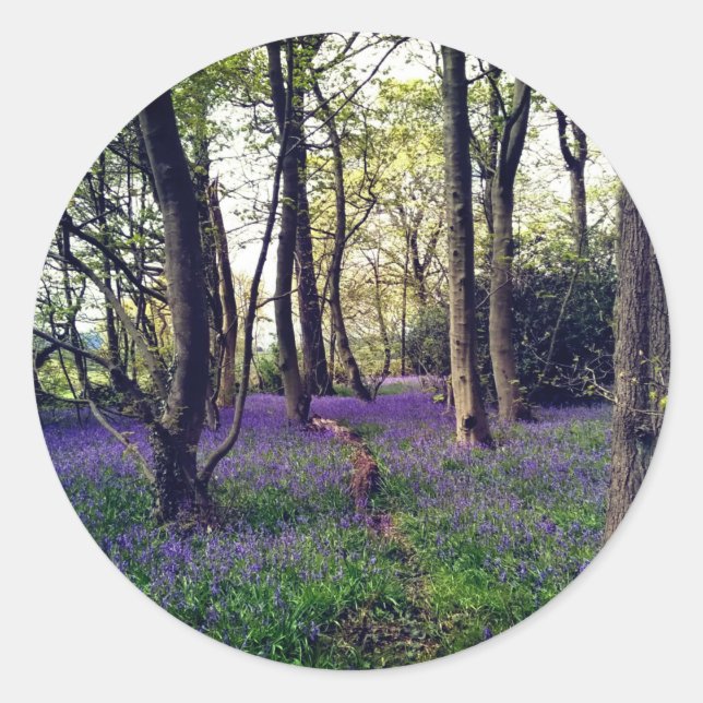 Bluebells Wald Bloral modern elegant Beautiful Runder Aufkleber (Vorderseite)