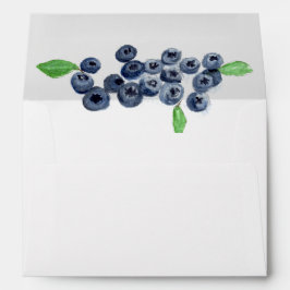 Blueberries Blueberry Frucht Sommer Rücksendeadres
