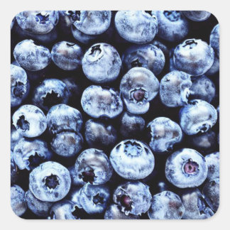 Blueberries Square Sticker