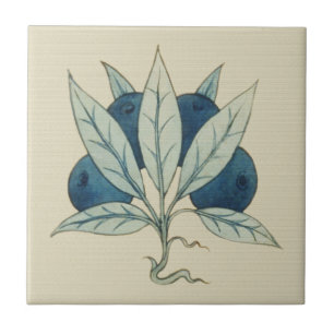 Blueberries William De Morgan Fliese
