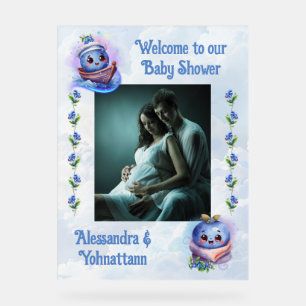Blueberry Baby Boy Dusche Begrüßung Acrylzeichen Acrylschild