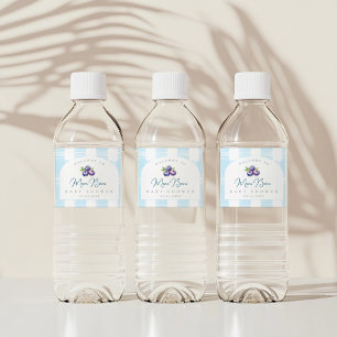 Blueberry-Babydusche
