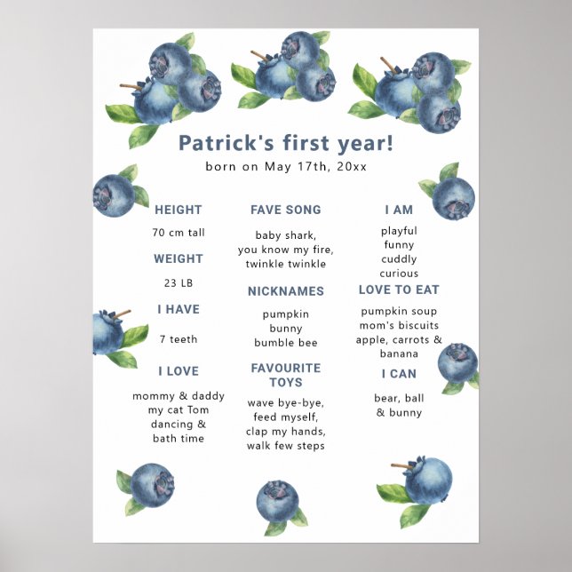 Blueberry First Birthday Milestone Geburtstag Poster (Vorne)