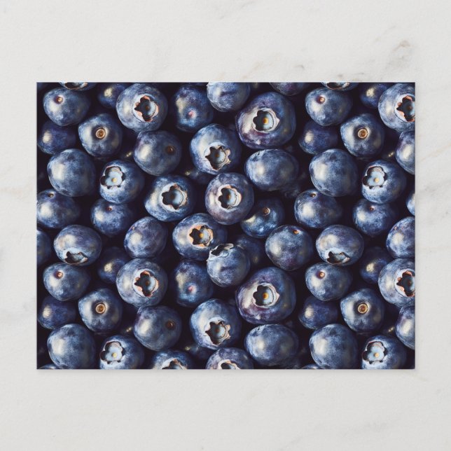 Blueberry Pattern Postkarte (Vorderseite)