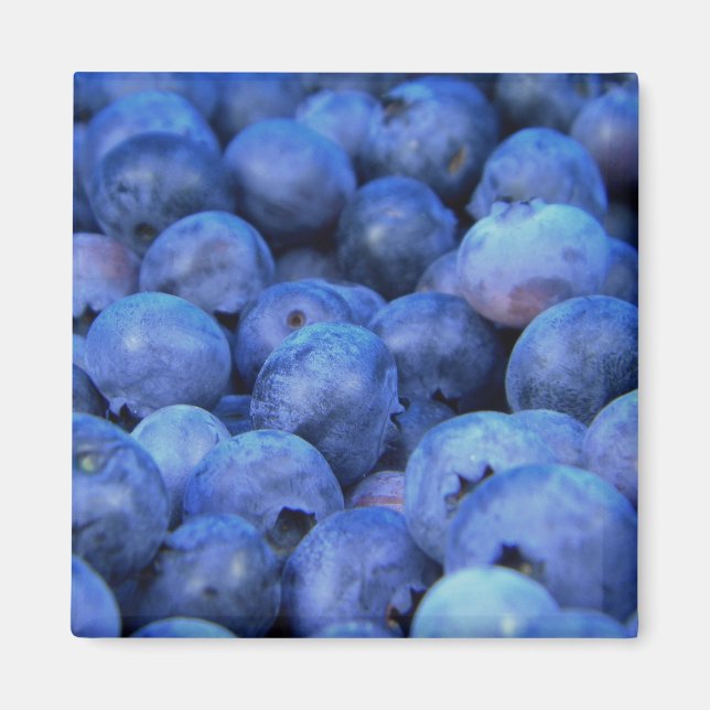 blueberry pile magnet (Vorne)