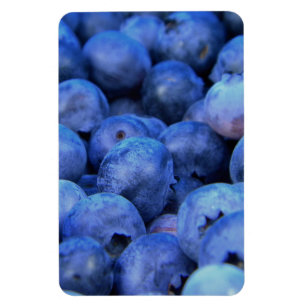 blueberry pile magnet