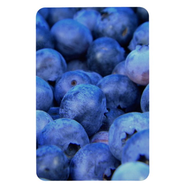 blueberry pile magnet (Vertikal)