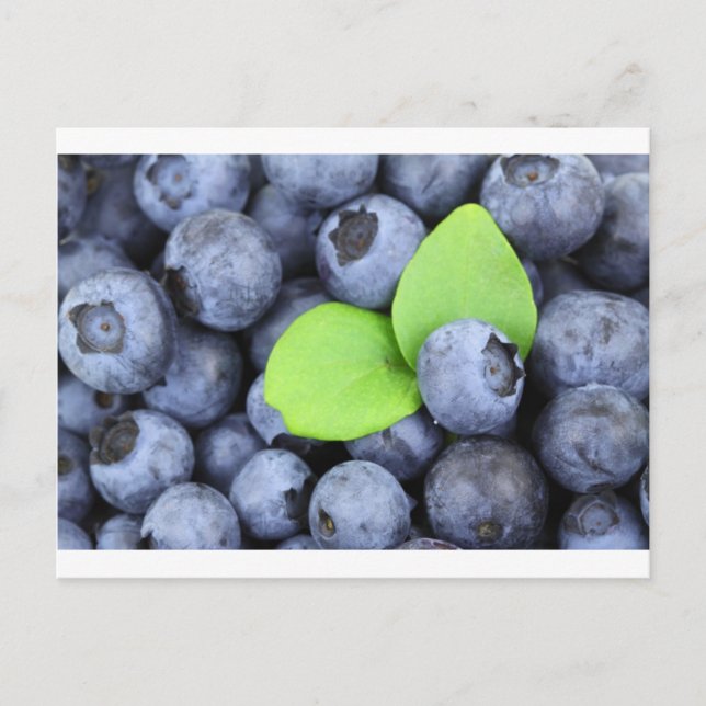 BLUEBERRY POSTKARTE (Vorderseite)