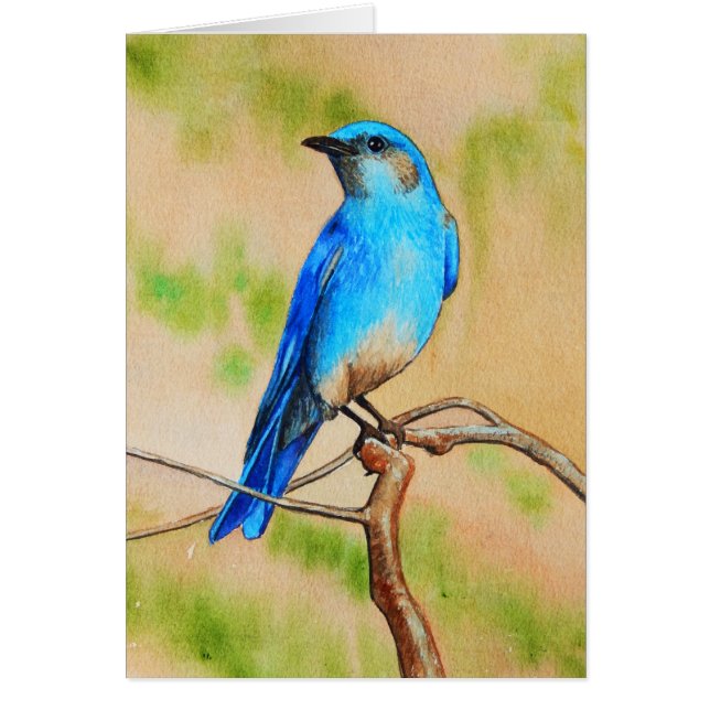 Bluebird (Devant)