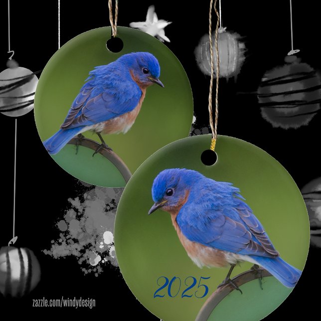Bluebird 2021 Christmas Ceramic Ornament (Von Creator hochgeladen)