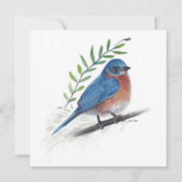 Bluebird Art Bird Card Karte