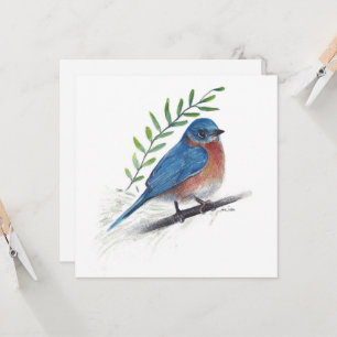Bluebird Art Bird Card Karte