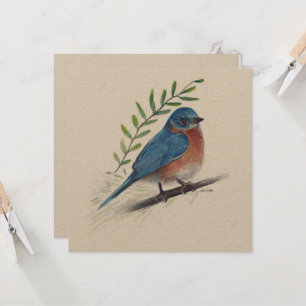 Bluebird Art Bird Card Karte