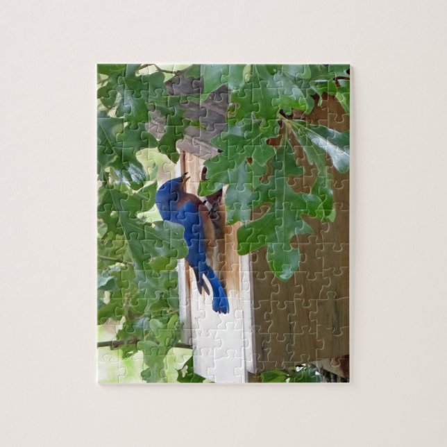 Bluebird at Home (Vertikal)