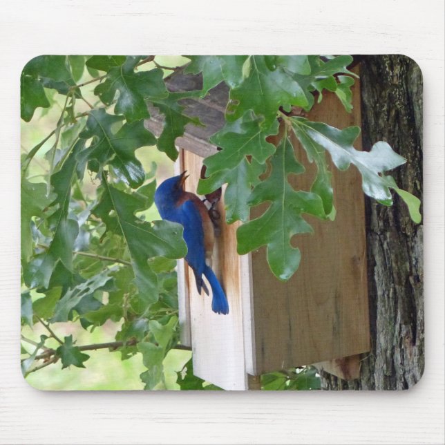 Bluebird at Home Mousepad (Vorne)