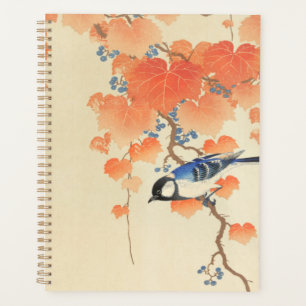 Bluebird auf einem Paulownia Tree Planer