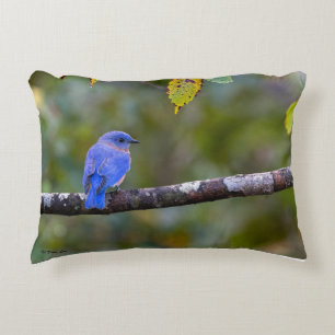 BlueBird auf Throw Kissen