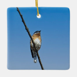 Bluebird auf Zweig Keramikornament