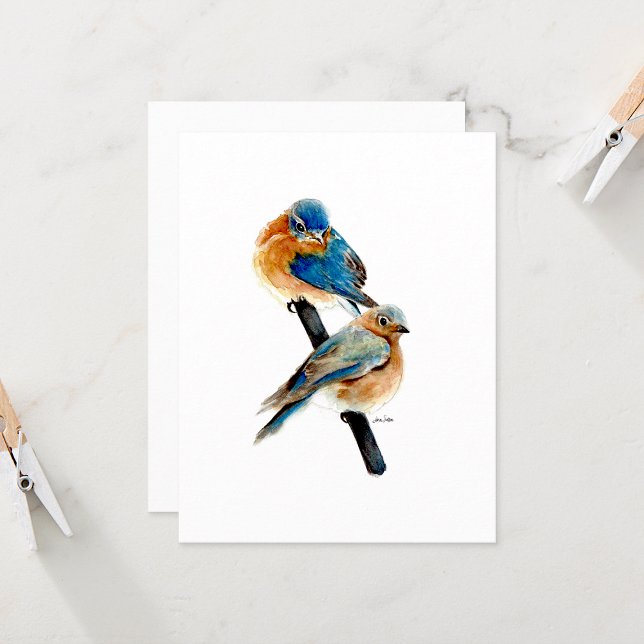 Bluebird Beautiufl Watercolor Mitteilungskarten (Beautiful Watercolor Bluebird Note Cards by Jenn Steffen Art)