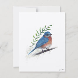 Bluebird Bird Art Feiertagskarte