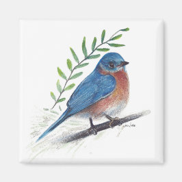 Bluebird Bird Art Magnet