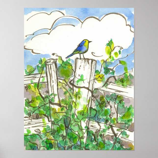 Bluebird Brambles Blue Sky Poster (Vorne)