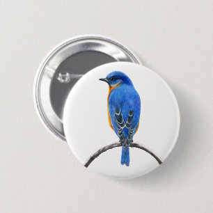 Bluebird Button