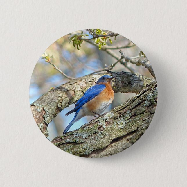 Bluebird Button (Vorderseite)