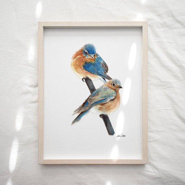 Bluebird Coupé - Farben drucken Poster (Bluebird watercolor art print from Jennifer Steffen, Jenn's Emporium. )
