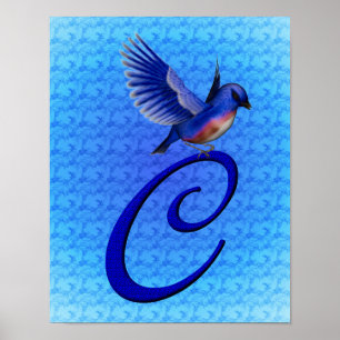 Bluebird Elegant Monogram Initial C Poster