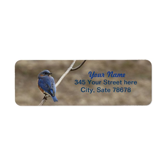 Bluebird Foto Rücksendeadressen-Aufkleber (Vorne)