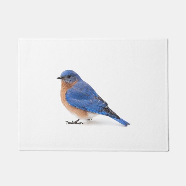 Bluebird Fußmatte (Vorderseite)