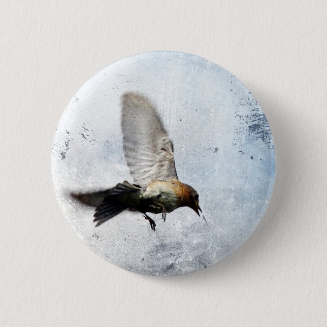Bluebird Grunge Button (Vorderseite)