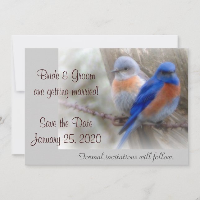Bluebird-Hochzeitsankündigungen Einladung (Vorderseite)