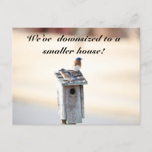 Bluebird House - Funny Change Address Postcard Postkarte