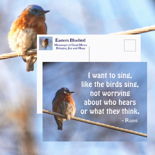 Bluebird Ich wollte auf Sing Rumi Quote Fotografy Postkarte (Von Creator hochgeladen)