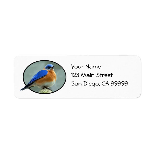 Bluebird in Oval Frame (Vorne)