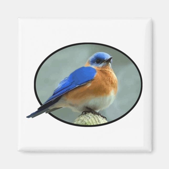 Bluebird in Oval Frame Magnet (Vorne)