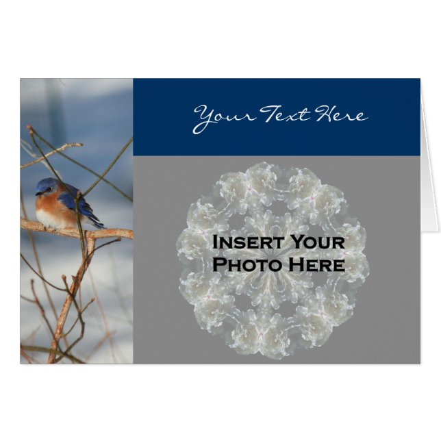 Bluebird in Winter Nature Carte photo (Devant horizontal)