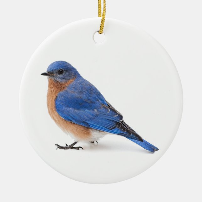 Bluebird Keramik Ornament (Vorne)
