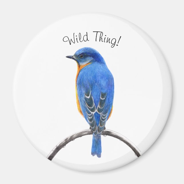 Bluebird Magnet (Vorne)