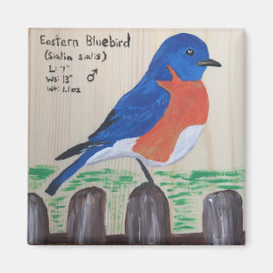Bluebird Magnet