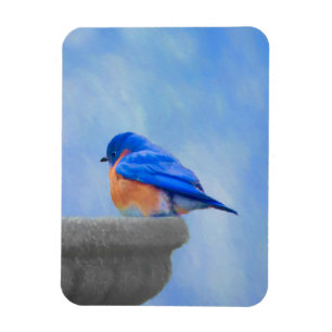 Bluebird-Malerei - Original Bird Art Magnet