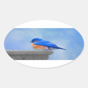 Bluebird-Malerei - Original Bird Art Ovaler Aufkleber