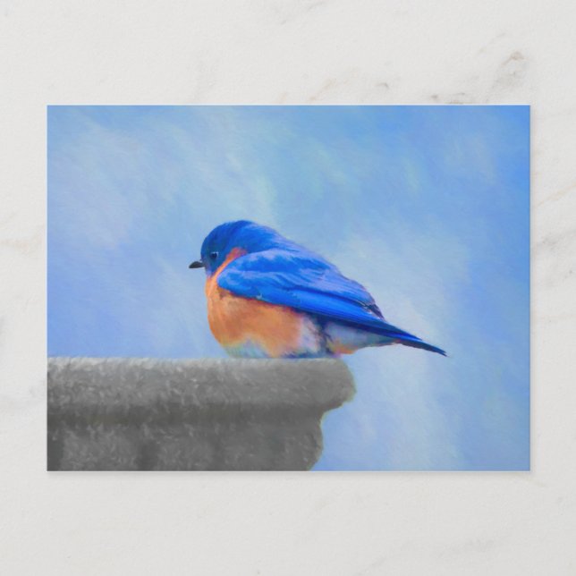 Bluebird-Malerei - Original Bird Art Postkarte (Vorderseite)