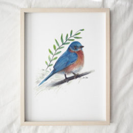 Bluebird-Malkunst Print Poster