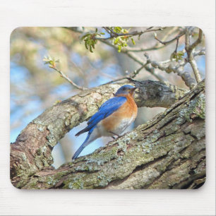 Bluebird Mousepad