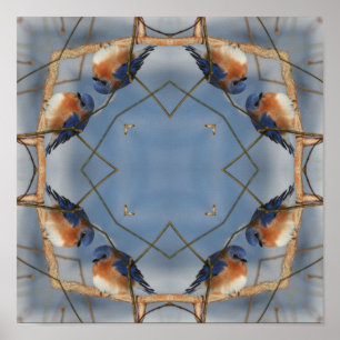 Bluebird Nature Abstrakt Kaleidoskop Art Poster